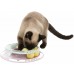 Trixie Junior Kitten Circle игрушка для котят (41340)